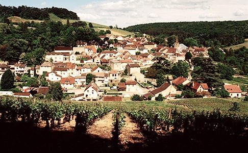 Grand Crus from the Burgundy 2014 En Primeur release available at Berry Brothers and Rudd