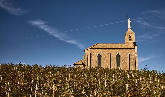 Beaujolais 2016 at Berry Bros. & Rudd