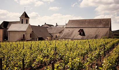 Burgundy under £25 at Berry Bros. & Rudd