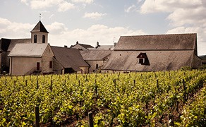 Burgundy under £25 at Berry Bros. & Rudd