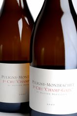 2010 Puligny-Montrachet Champ Gain, 1er Cru, Olivier Bernstein 2010 Puligny-Montrachet Champ Gain, 1er Cru, Olivier Bernstein