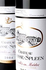 2004 Ch. Chasse-Spleen, Moulis 2004 Ch. Chasse-Spleen, Moulis