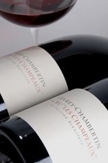 2011 Gevrey-Chambertin, Les Champeaux, 1er Cru, Olivier Bernstein 2011 Gevrey-Chambertin, Les Champeaux, 1er Cru, Olivier Bernstein