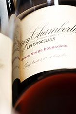 2006 Gevrey-Chambertin, Les Evocelles, Domaine de la Vougeraie 2006 Gevrey-Chambertin, Les Evocelles, Domaine de la Vougeraie