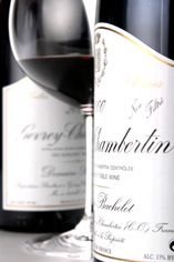 2007 Gevrey-Chambertin, Vieilles Vignes, Domaine Denis Bachelet 2007 Gevrey-Chambertin, Vieilles Vignes, Domaine Denis Bachelet