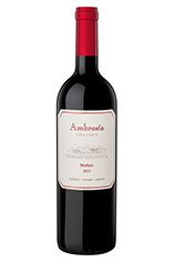 2011 Ambrosía Viña Unica Malbec, Gualtallary, Uco Valley 2011 Ambrosía Viña Unica Malbec, Gualtallary, Uco Valley