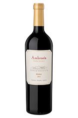 2011 Ambrosía Precioso, Gualtallary, Uco Valley 2011 Ambrosía Precioso, Gualtallary, Uco Valley