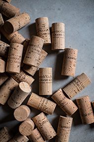 2014 Bernstein Mixed Grand Cru Case (7 bottles of 2014 vintage) 2014 Bernstein Mixed Grand Cru Case (7 bottles of 2014 vintage)