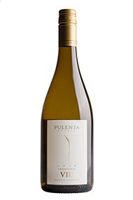 2016 Pulenta Estate Chardonnay, Mendoza 2016 Pulenta Estate Chardonnay, Mendoza