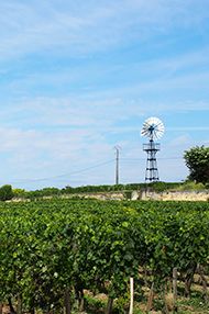 One Day Introductory Wine School, Saturday 27th April 2019 One Day Introductory Wine School, Saturday 27th April 2019