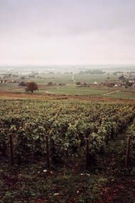 One Day Burgundy School, Saturday 4th May 2019 One Day Burgundy School, Saturday 4th May 2019