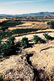 One Day Spanish Wine School, Saturday 11th May 2019 One Day Spanish Wine School, Saturday 11th May 2019
