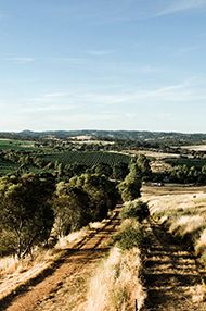 One Day Introductory Wine School, Saturday 20th July 2019 One Day Introductory Wine School, Saturday 20th July 2019