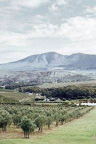 One Day Introductory Wine School, Saturday 10th August 2019 One Day Introductory Wine School, Saturday 10th August 2019
