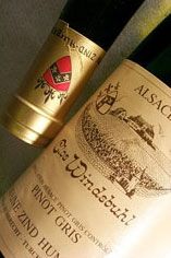 2008 Pinot Gris, Clos Windsbuhl, Domaine Zind Humbrecht 2008 Pinot Gris, Clos Windsbuhl, Domaine Zind Humbrecht