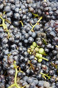 WSET Award Level 3 in Wines, September to October 2019 WSET Award Level 3 in Wines, September to October 2019