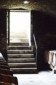 One-Day Introductory Wine School, Saturday 28th September 2019 One-Day Introductory Wine School, Saturday 28th September 2019
