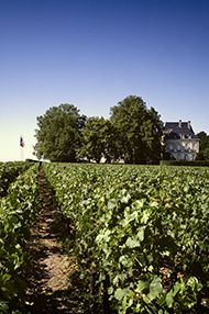 One-Day Bordeaux Wine School, Saturday 16th November 2019 One-Day Bordeaux Wine School, Saturday 16th November 2019