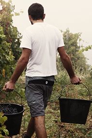 WSET Award Level 1 in Wines, Saturday 23rd November 2019 WSET Award Level 1 in Wines, Saturday 23rd November 2019