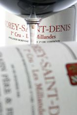 2005 Gevrey-Chambertin, Le Fonteny, 1er Domaine Christian Serafin 2005 Gevrey-Chambertin, Le Fonteny, 1er Domaine Christian Serafin