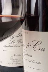 2006 Beaune, Greves, 1er cru Nicolas Potel 2006 Beaune, Greves, 1er cru Nicolas Potel