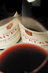 2005 Nuits St. Georges, Aux Chaignots Domaine Faiveley 2005 Nuits St. Georges, Aux Chaignots Domaine Faiveley