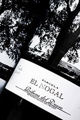 2004 Pago de los Capellanes El Nogal Ribera del Duero 2004 Pago de los Capellanes El Nogal Ribera del Duero